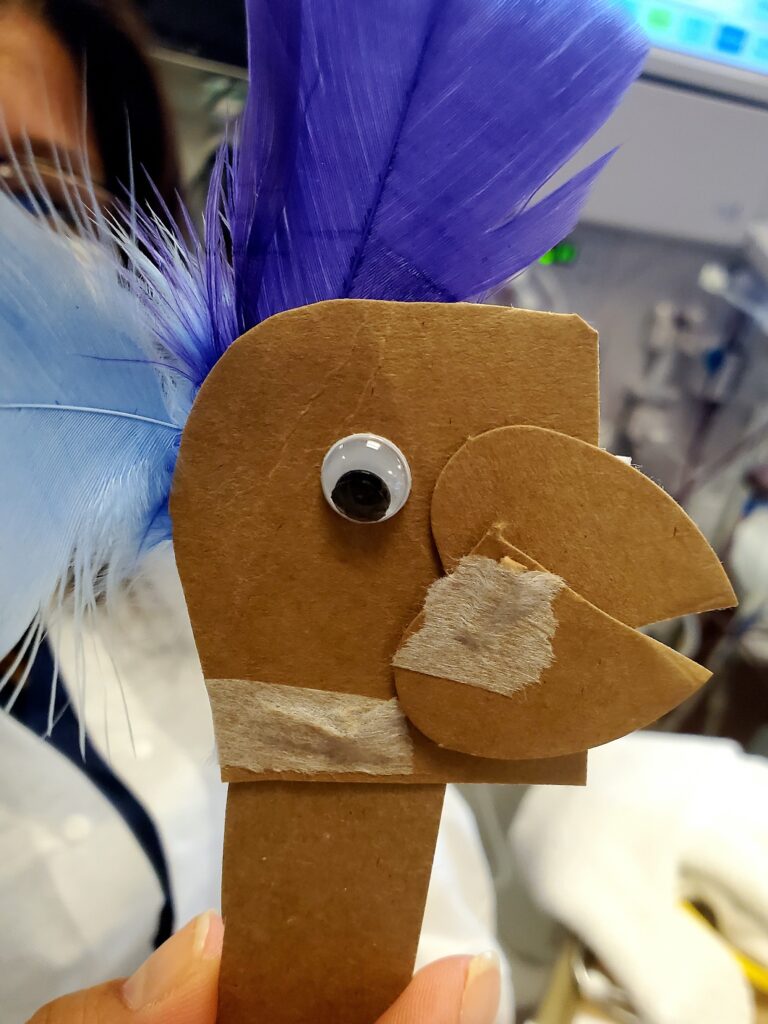 Photo of a handmade puppet of a bird with feathers and cardboard.