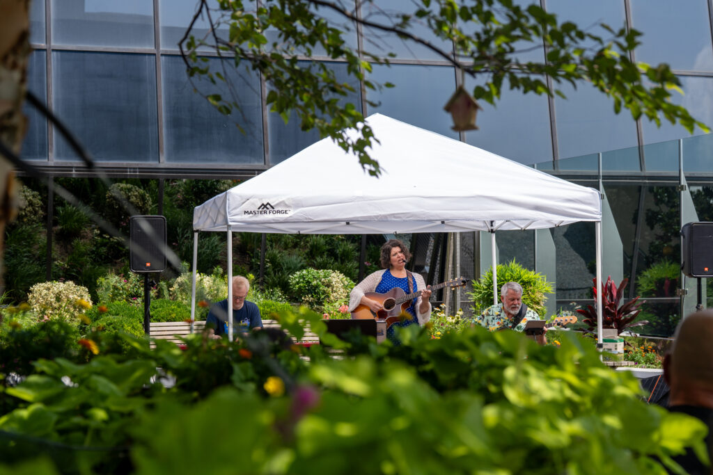 A small band of musicians plays under a white pop-up tent. They are photographed from behind a large bush.